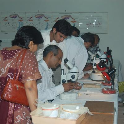 ICMR-NIMR Activities