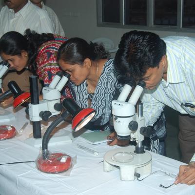 ICMR-NIMR Activities