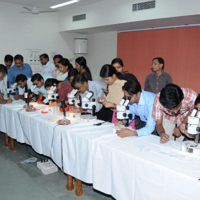ICMR-NIMR Activities
