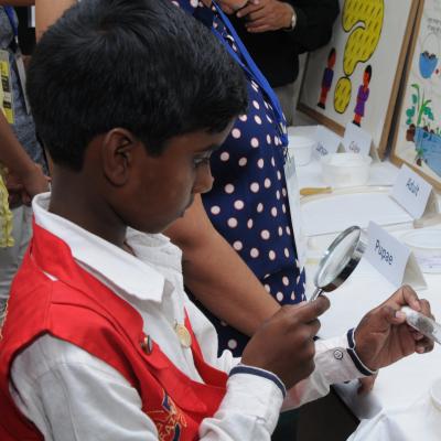 ICMR-NIMR Activities