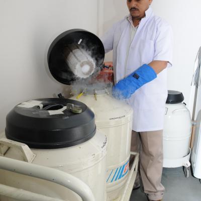 ICMR-NIMR Activities