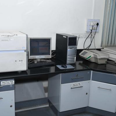 RT PCR